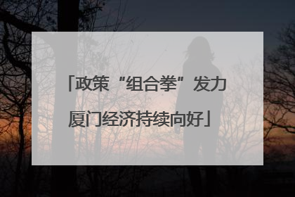 政策“组合拳”发力 厦门经济持续向好